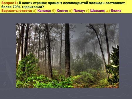 Вопрос 1: В каких странах процент лесопокрытой площади составляет более 70% территории? Варианты ответа: а) Канада; б) Конго; в) Палау; г) Швеция; д) Белиз.