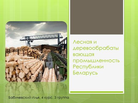 Лесная и деревообрабаты вающая промышленность Республики Беларусь Бабичевский Илья, 4 курс, 3 группа.
