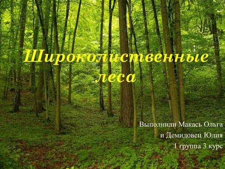 Широколиственные леса Выполнили Макась Ольга и Демидовец Юлия 1 группа 3 курс.