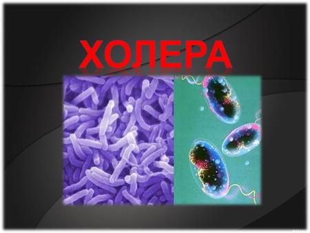 (лат. cholera (греч. cholera, от cholē желчь + rheō течь, истекать)) острая кишечная антропонозная инфекция, вызываемая бактериями вида Vibrio cholerae.