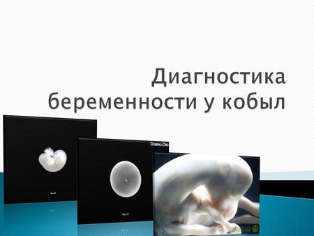 1 – яичник; 2 – яйцепровод; 3 – рог матки; 4 – тело матки; 5 – шейка матки (вскрыто); 6 – наружное отверстие матки; 7 – широкая связка матки; 8 – влагалище.