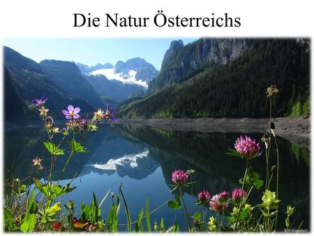Die Natur Österreichs Österreich liegt im südlichen Mitteleuropa. Es ist kleiner als Deutschland, etwa doppelt so groß wie die Schweiz. Seine Fläche.