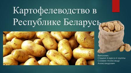 Картофелеводство в Республике Беларусь Выполнил: Студент 4 курса 6 группы Сомкин Александр Александрович.