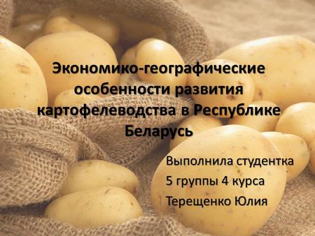 Экономико-географические особенности развития картофелеводства в Республике Беларусь Выполнила студентка 5 группы 4 курса Терещенко Юлия.