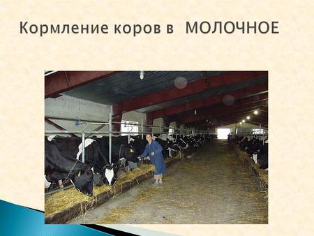 Рацион кормления контрольной группы коров в период раздоя ООО «Молочное» живая масса 450 кг, среднесуточный удой кг, 2 месяц лактации. Корма Кол.