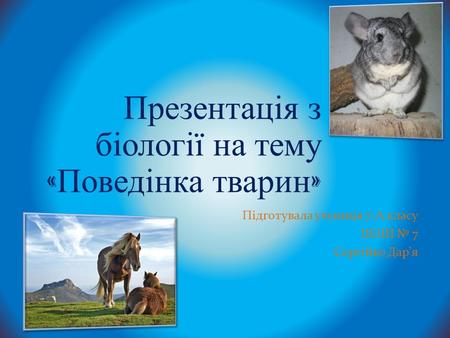 Презентація з біології на тему « Поведінка тварин » Підготувала учениця 7-А класу ШЗШ 7 Сергійко Даря.