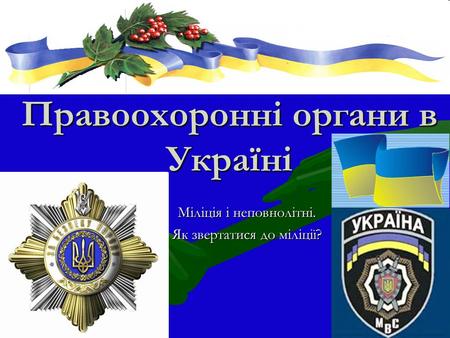 Правоохоронні органи в Україні Міліція і неповнолітні. Як звертатися до міліції?