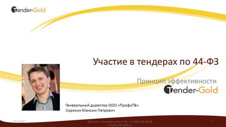 Участие в тендерах по 44-ФЗ: Принцип эффективности  - Tender-gold.ru