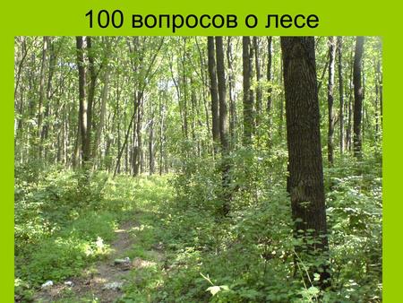 100 вопросов о лесе