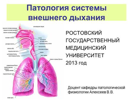 Патология системы внешнего дыхания 