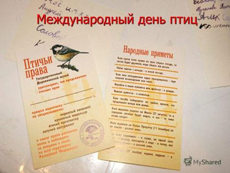 Международный день птиц Сегодня в мире известно более 9 тысяч видов птиц, из них 738 – встречается в России, что составляет около 8 % от всей мировой.