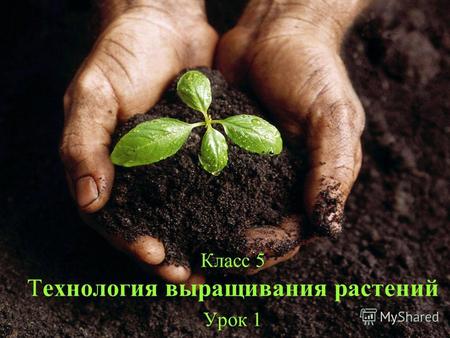 Класс 5 Технология выращивания растений Урок 1. Тема урока Типы почв. Инструменты для обработки почвы.