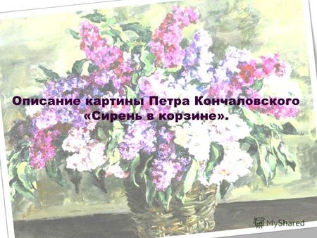 Описание картины Петра Кончаловского «Сирень в корзине».