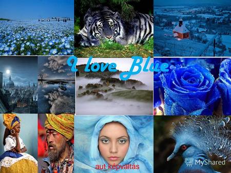 I love Blue aut képváltás Pictures www. – music Gary Moore.
