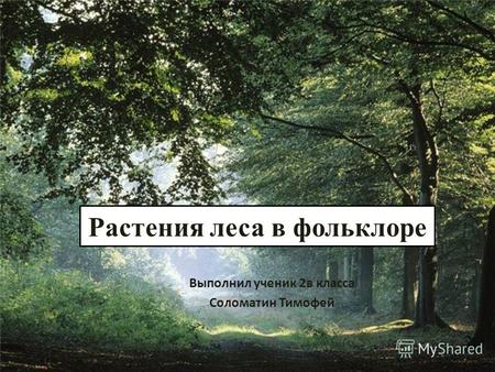 Растения леса в фольклоре Выполнил ученик 2в класса Соломатин Тимофей.