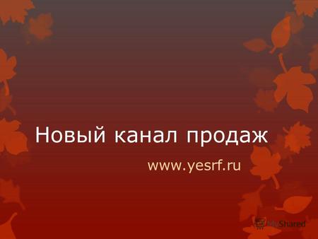 Новый канал продаж www.yesrf.ru. Привычные каналы продаж Стоимость рекламы возрастает Стоимость вновь привлеченного клиента возрастает Прибыль Вашей компании.