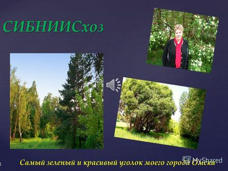 СИБНИИСхоз Самый зеленый и красивый уголок моего города Омска Самый зеленый и красивый уголок моего города Омска.