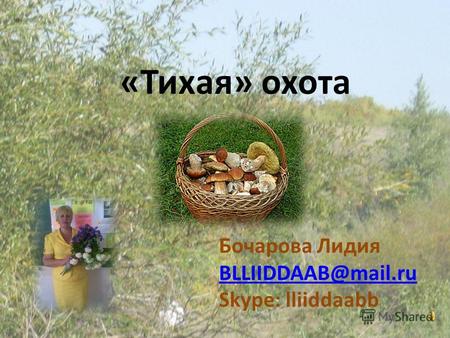 «Тихая» охота Бочарова Лидия BLLIIDDAAB@mail.ru Skype: lliiddaabb.