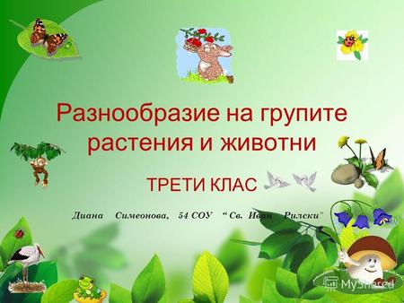 Разнообразие на групите растения и животни ТРЕТИ КЛАС Диана Симеонова, 54 СОУ Св. Иван Рилски.