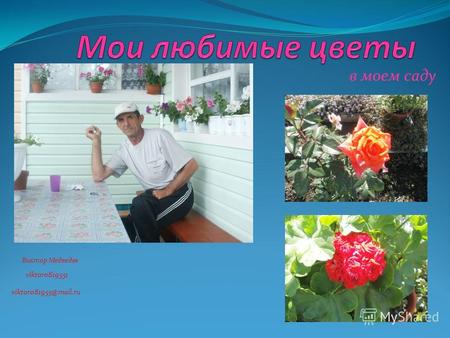 в моем саду Виктор Медведев viktor0819551 viktor081955@mail.ru.