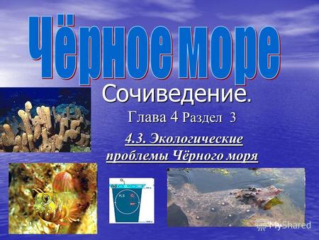 Сочиведение. Глава 4 Раздел 3 4.3. Экологические проблемы Чёрного моря 4.3. Экологические проблемы Чёрного моря.