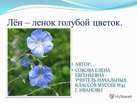 Лён – ленок голубой цветок.. 3-4 тыс. лет до н.э. выращивали лен в Египте.