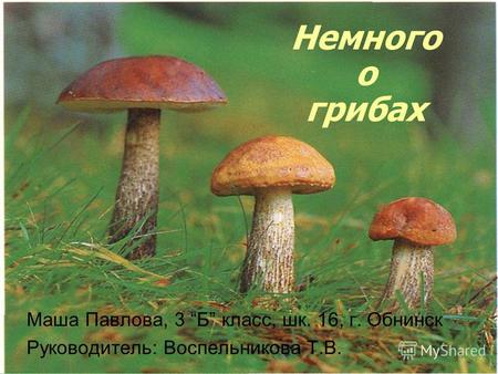 Немного о грибах Маша Павлова, 3 Б класс, шк. 16, г. Обнинск Руководитель: Воспельникова Т.В.