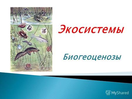 Биогеоценозы. акад. В.Н.Сукачёв 1940г ввёл термин «биогеоценоз». Он пришел к выводу о том, что в природе существуют системы, объединяющие биотические.