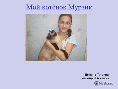 Мой котёнок Мурзик. Демина Татьяна, ученица 5 А класса.