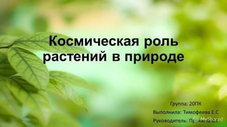 Космическая роль растений в природе Группа: 20ПК Выполнила: Тимофеева Е.С Руководитель: Пронина В.Г.