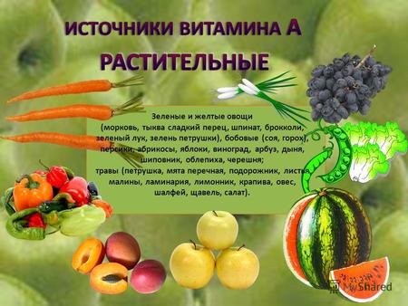 Зеленые и желтые овощи (морковь, тыква сладкий перец, шпинат, брокколи, зеленый лук, зелень петрушки), бобовые (соя, горох), персики, абрикосы, яблоки,