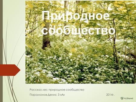 Рассказ лес природное сообщество Парамонов Денис 3 «А» 2014г.