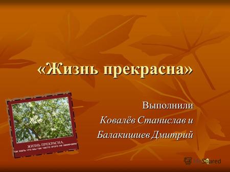 «Жизнь прекрасна» Выполнили Ковалёв Станислав и Балакишиев Дмитрий.