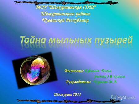 Выполнил: Ефимов Дима ученик 3 а класса Руководитель: Чураева М.В. Шемурша 2011.