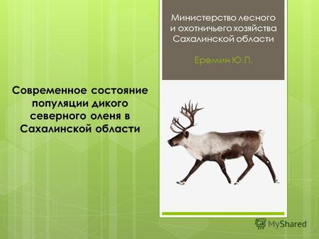 Министерство лесного и охотничьего хозяйства Сахалинской области Еремин Ю.П. Современное состояние популяции дикого северного оленя в Сахалинской области.