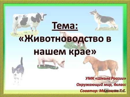 9 Место Московской области по производству молока в ЦФО, тыс. тонн, удельный вес в % Место Московской области по производству молока в ЦФО, тыс. тонн,
