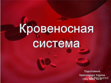 Подготовила Герасименко Карина СЗШ 80; 11-А. Клетка крови Кровяная плазма Кровь играет роль связующего элемента, который обеспечивает жизнедеятельность.
