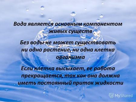 Вода является основным компонентом живых существ Без воды не может существовать ни одно растение, ни одна клетка организма Если клетка высыхает, ее работа.