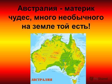 Австралия - материк чудес, много необычного на земле той есть!