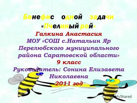 Бенефис одной задачи «Пчелиный рой» Галкина Анастасия МОУ «СОШ с.Натальин Яр Перелюбского муниципального района Саратовской области» 9 класс Руководитель: