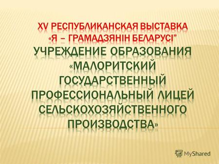 Проект профессиональной ориентации молодёжи на выбор рабочей профессии «Будущее Беларуси в твоих руках!»