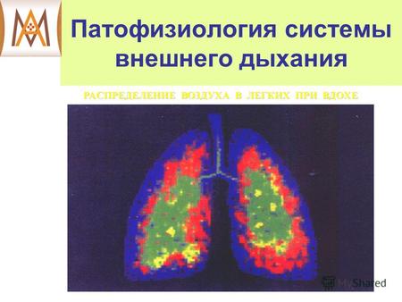 Патофизиология системы внешнего дыхания. Актуальность темы: Распространенность заболеваний дыхательной системы в России и странах СНГ почти достигла уровня.