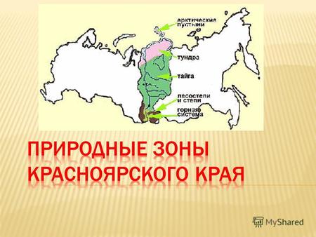 Природные зоны красноярского края