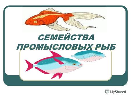 СЕМЕЙСТВА ПРОМЫСЛОВЫХ РЫБ. Рис. 1. Схема строения тела рыбы.