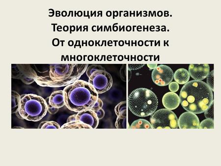 Эволюция организмов. Теория симбиогенеза. От одноклеточности к многоклеточности.