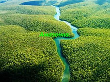 Амазонка. Амазонка является самой длинной рекой мира. Влажные экваториальные леса, растущие в ее бассейне, – крупнейшие в мире. Для индейцев, живущих в.