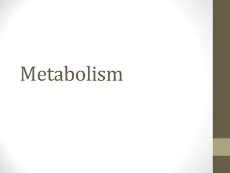 Metabolism Why Study Metabolism? Classification of bacteria Oxygen Tolerance Biochemical reactions Acids, Ammonia, Gases Fermentation Products Food Products.