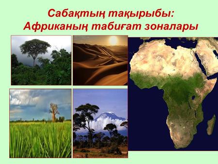 Сабақтың тақырыбы: Aфриканың табиғат зоналары. Африканың табиғат зоналары: 1.Ылғалды экваторлық ормандар мен ауыспалы ылғалды ормандар 2.Саванналар мен.