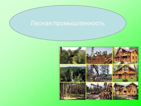 Лесная промышленность. Лесной комплекс включает: лесное хозяйство, заготовку, механическую обработку, химическую переработку древесины. Эти отрасли используют.