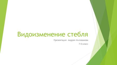 Видоизменение стебля Презентация Андрея Милованова 7 б класс.